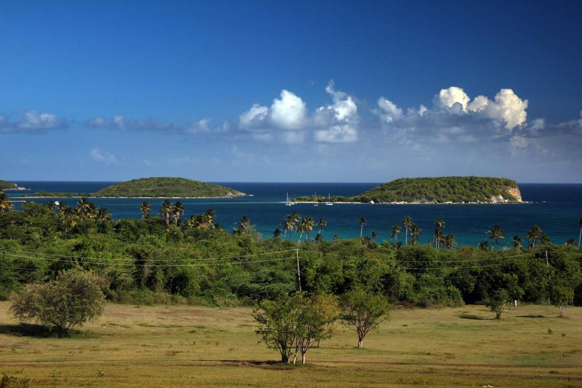 Hotel Hacienda Tamarindo Vieques Exterior foto